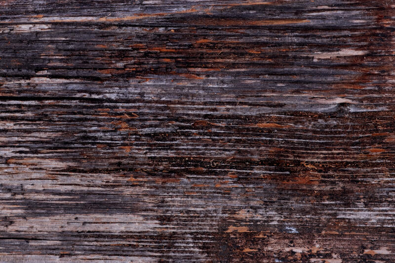 ./jpegsmall/Abstraction_DSCF8658.jpg