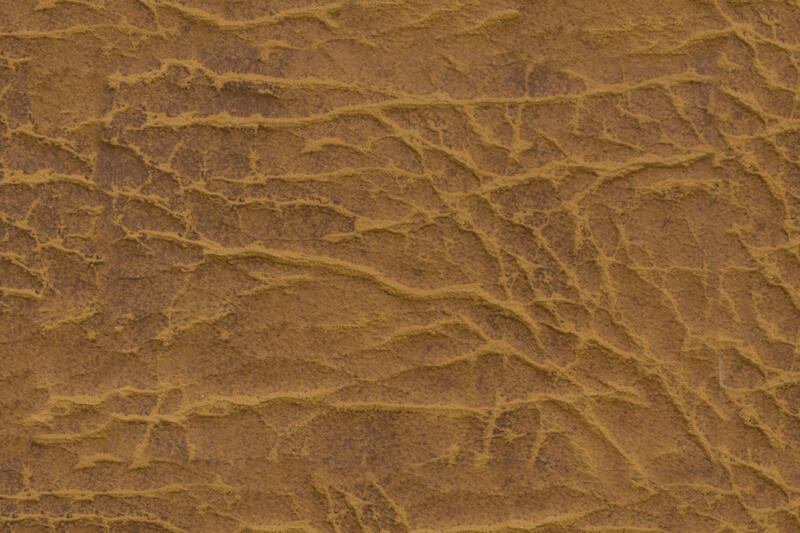 ./jpegsmall/Abstraction_DSC_0592.jpg