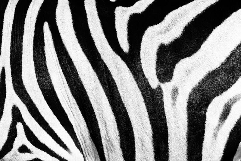 ./jpegsmall/Abstraction_DSC_1074.jpg
