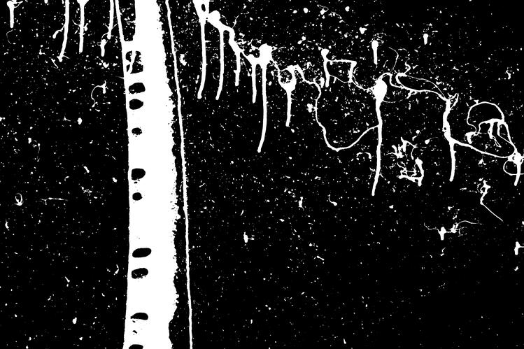 ./jpegsmall/Abstraction_DSC_1298.jpg