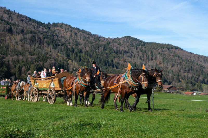 ./jpegsmall/Leonardi_Schliersee_Bayern_00DSCF751443.jpg