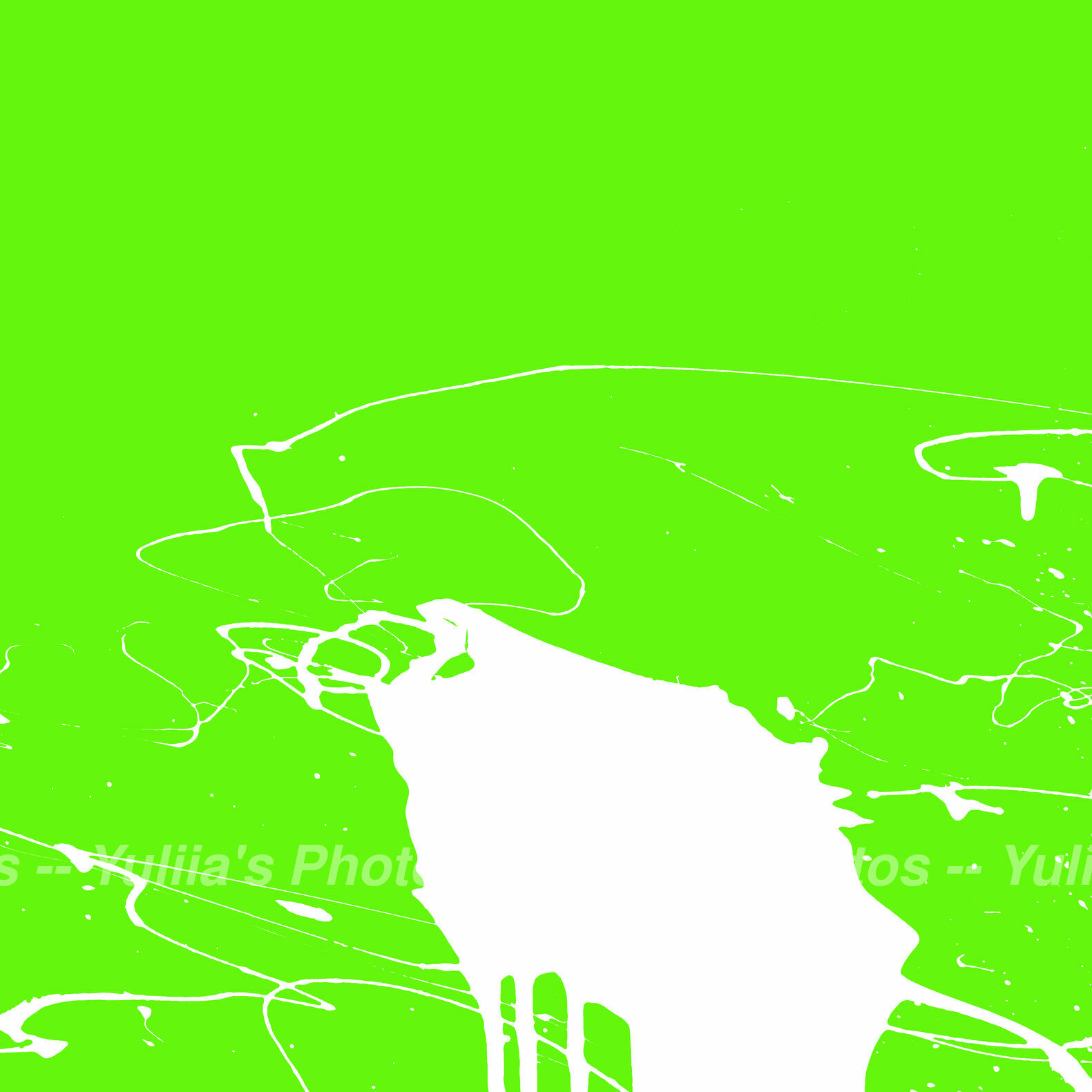 jpegwaterm/Abstraction_12.jpg