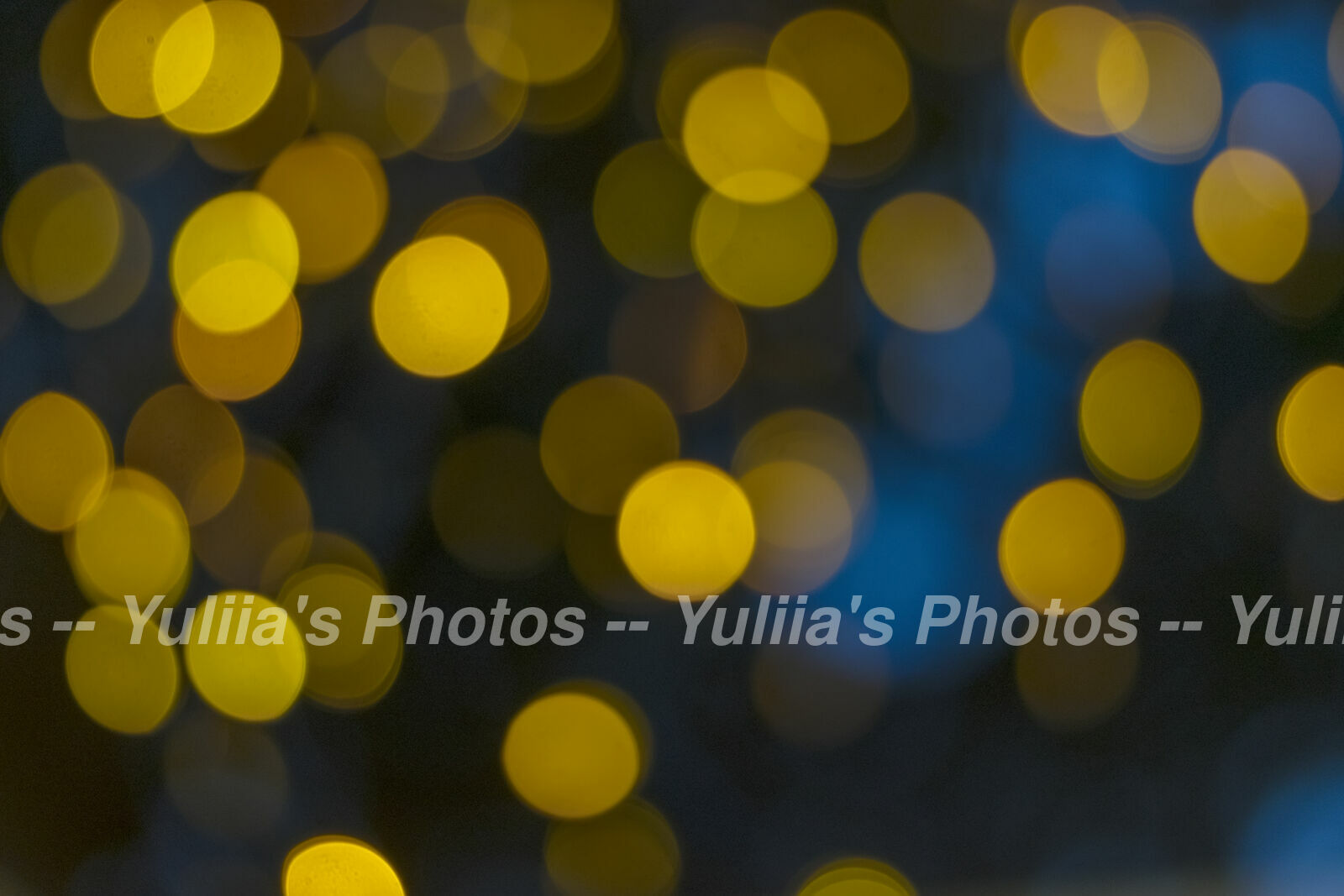 jpegwaterm/Abstraction_DSC_0382.jpg