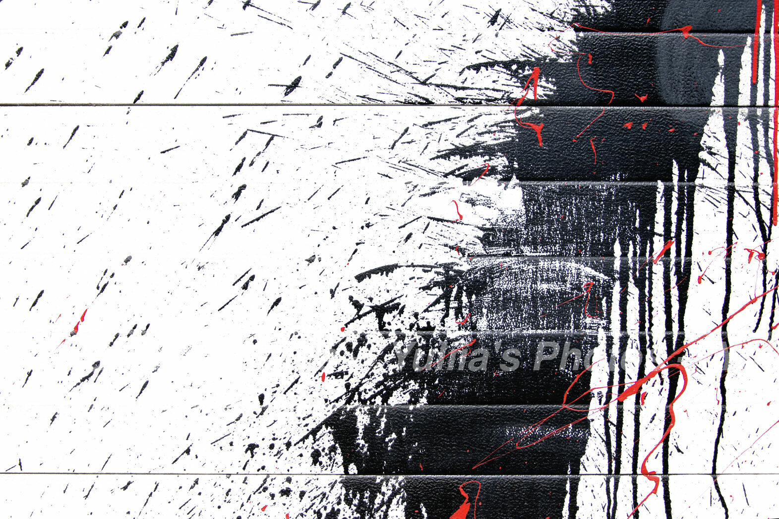 jpegwaterm/Abstraction_DSC_04772.jpg