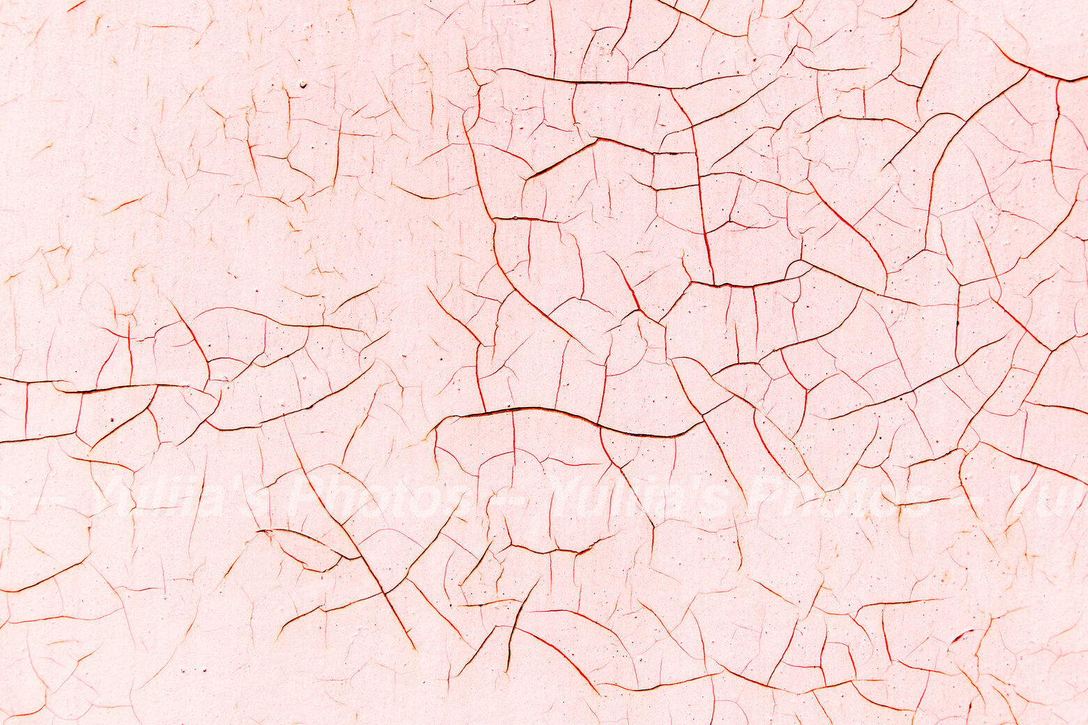 jpegwaterm/Abstraction_DSC_0519.jpg