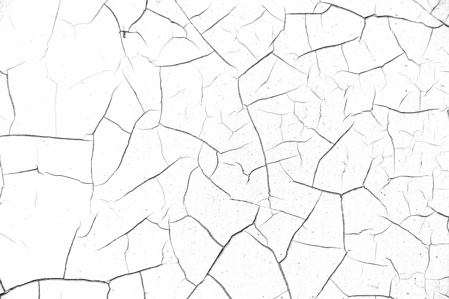 jpegwaterm/Abstraction_DSC_0529.jpg