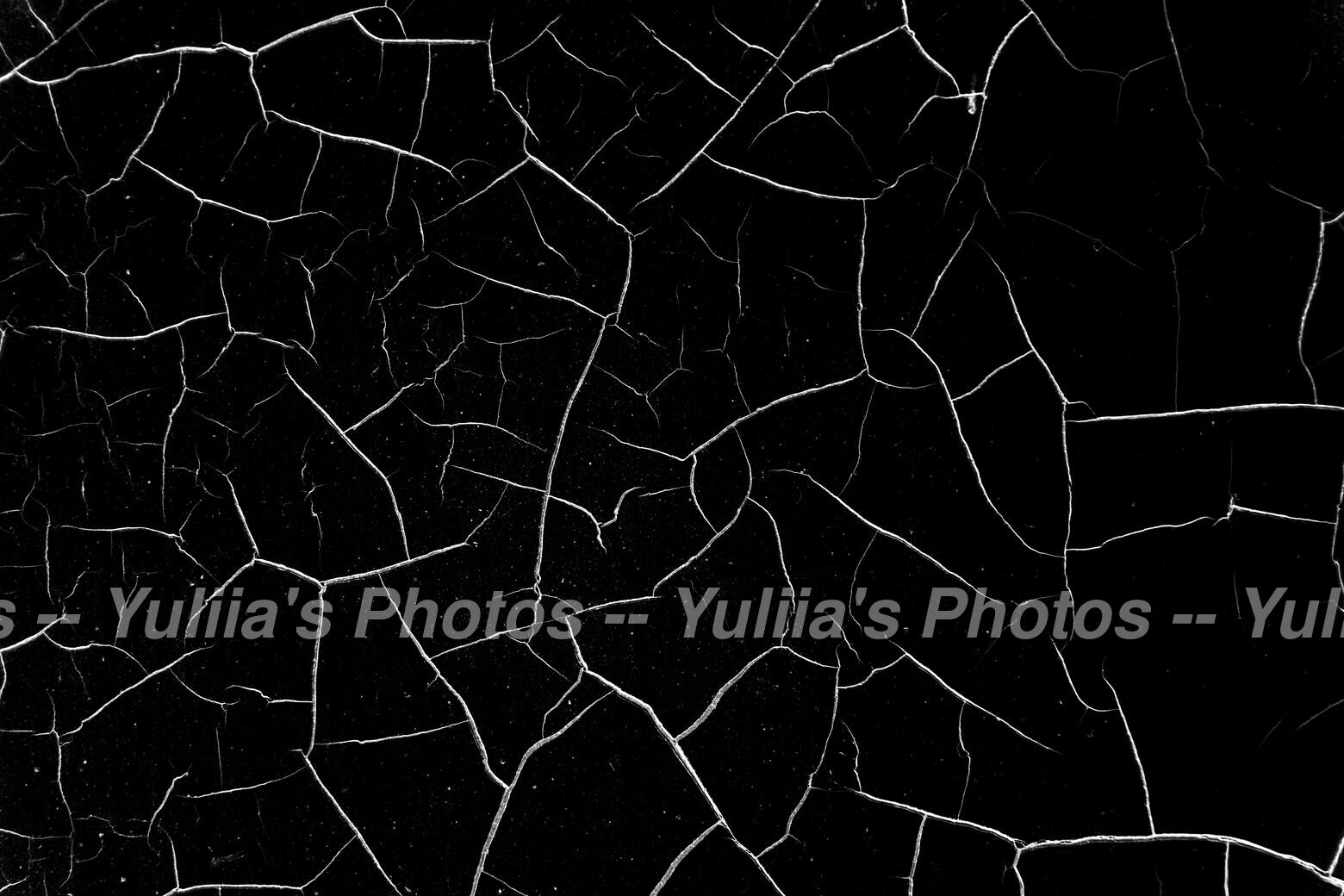 jpegwaterm/Abstraction_DSC_05292.jpg