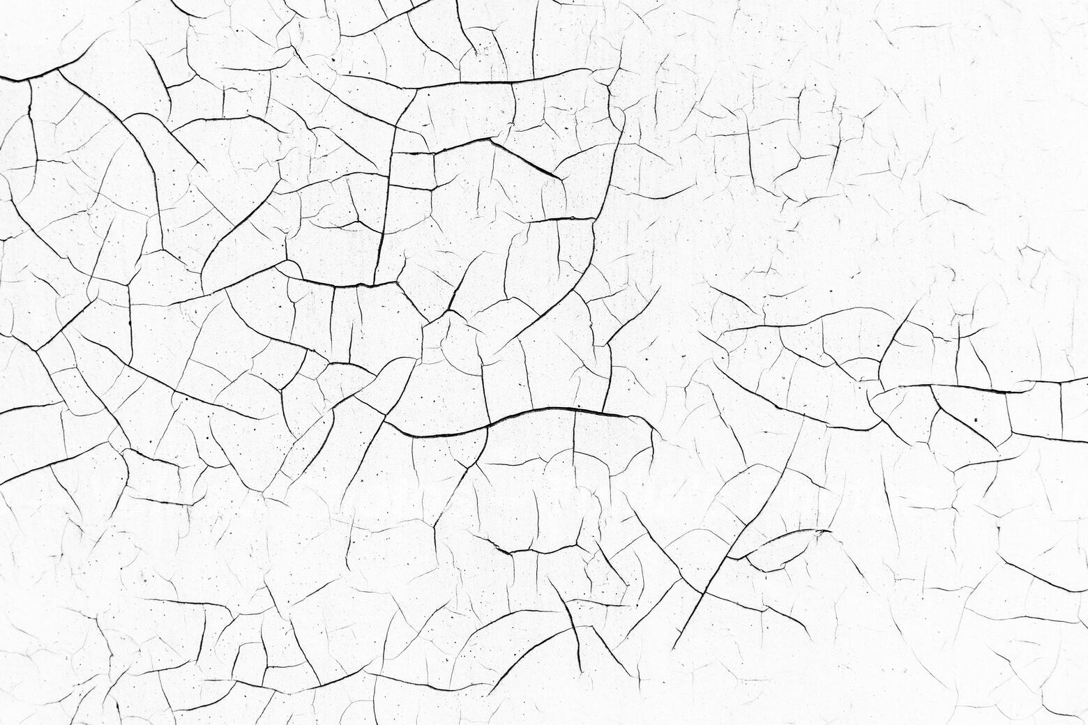 jpegwaterm/Abstraction_DSC_05312.jpg