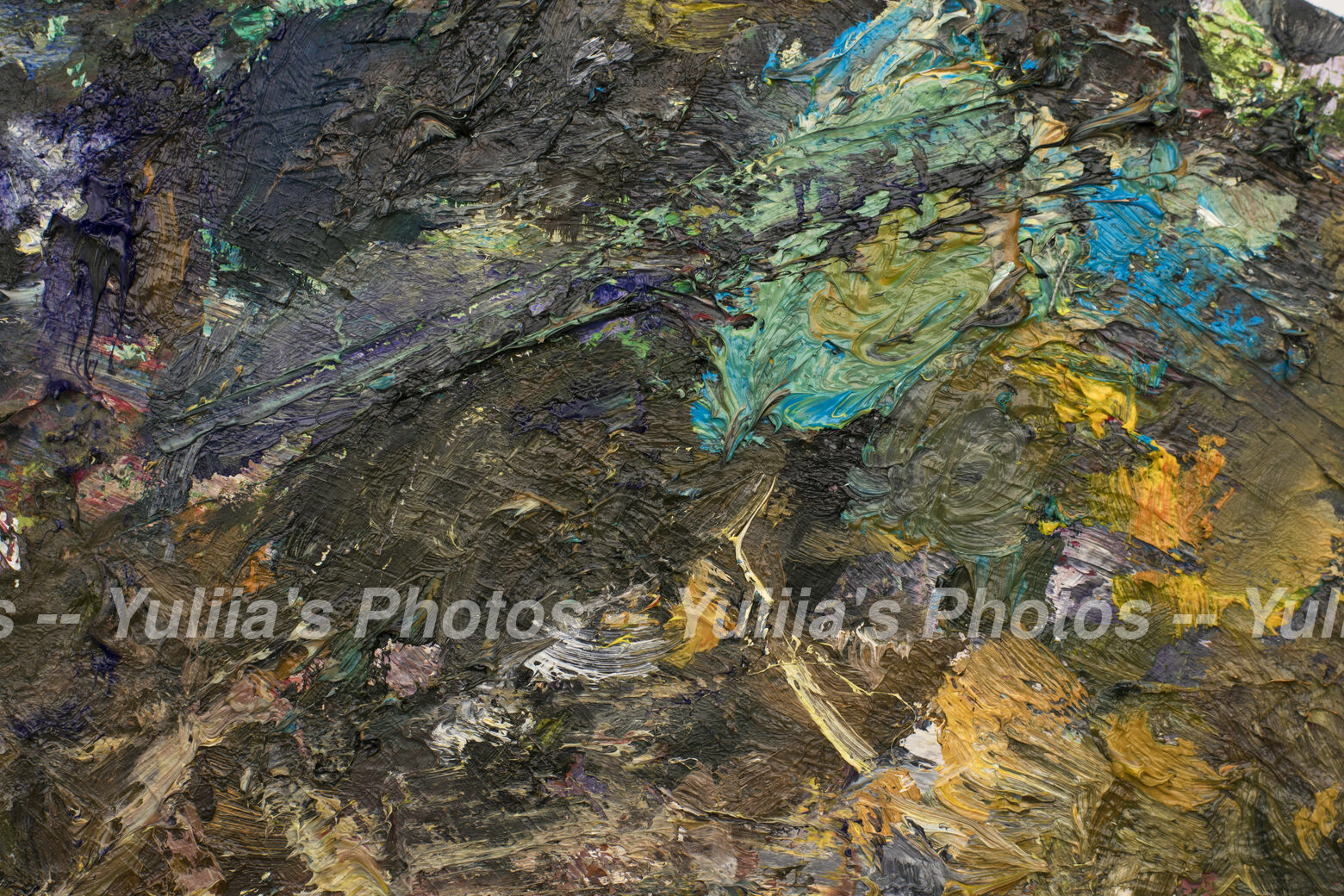 jpegwaterm/Abstraction_DSC_0547.jpg