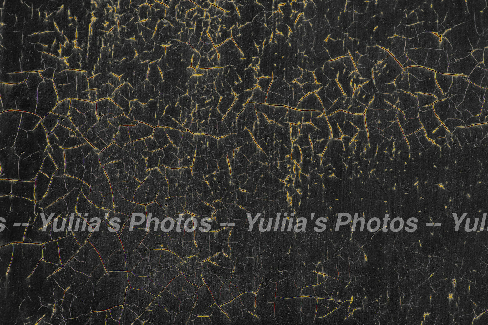 jpegwaterm/Abstraction_DSC_05502.jpg