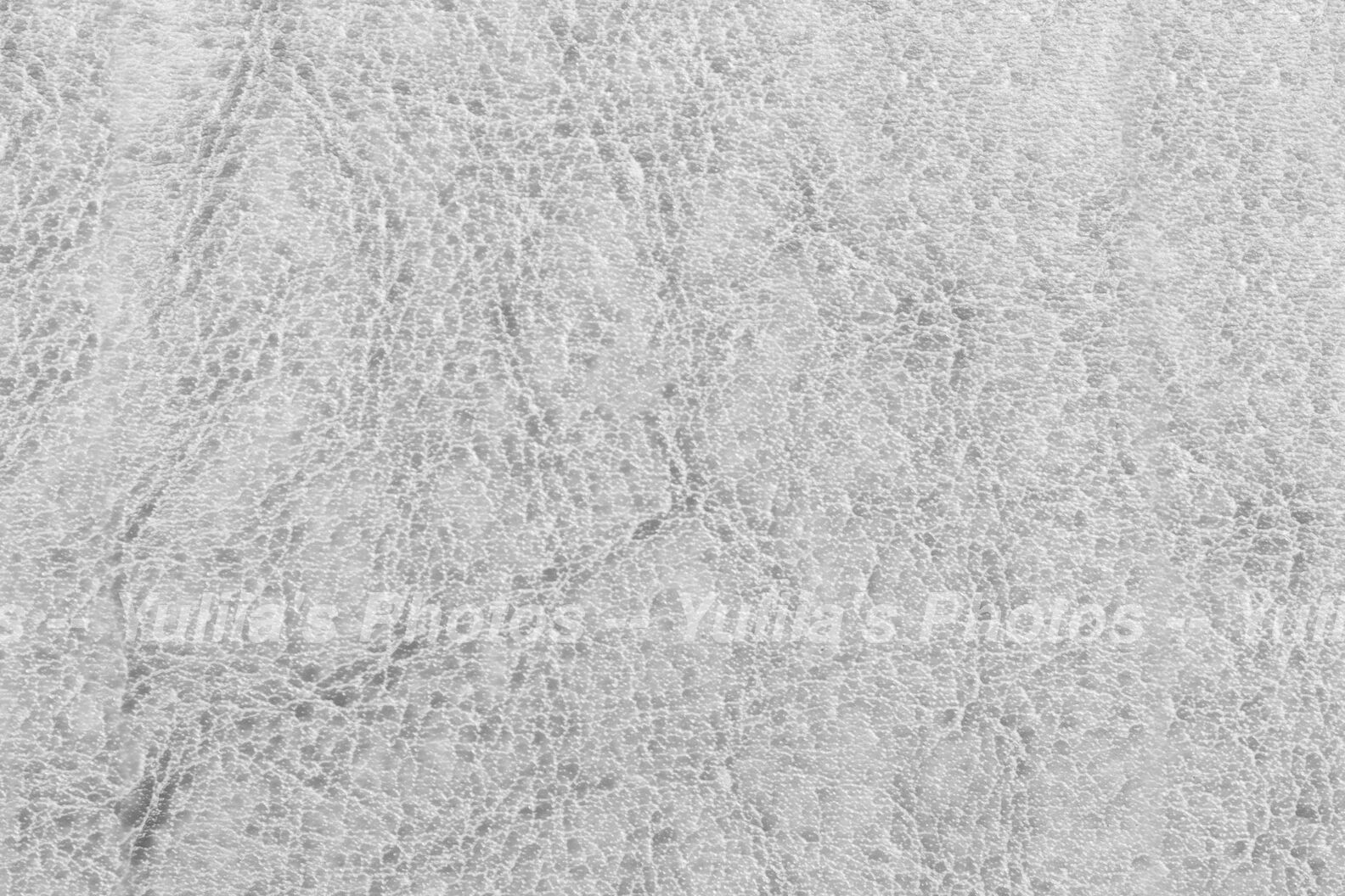 jpegwaterm/Abstraction_DSC_0575.jpg
