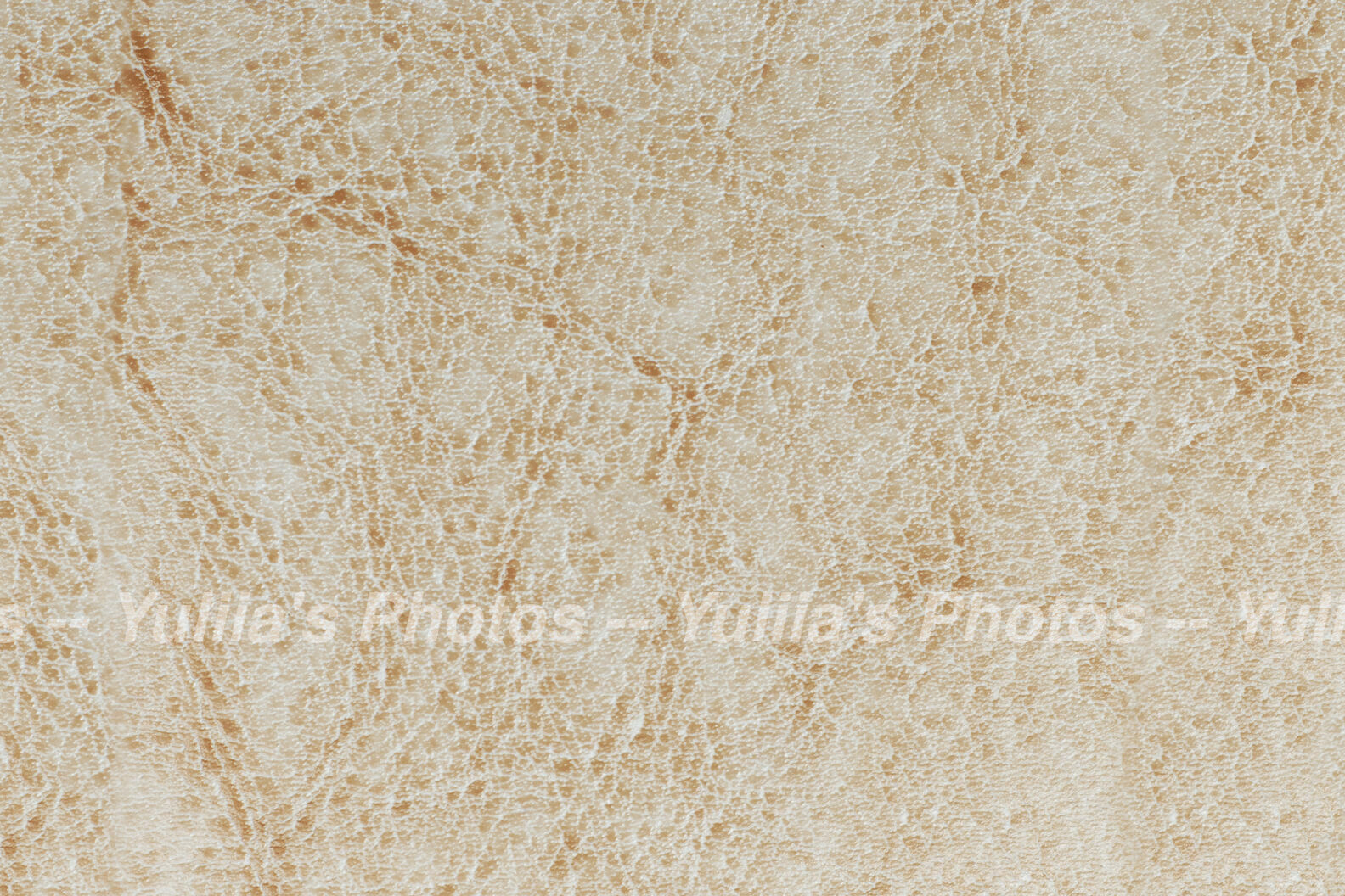 jpegwaterm/Abstraction_DSC_0576.jpg