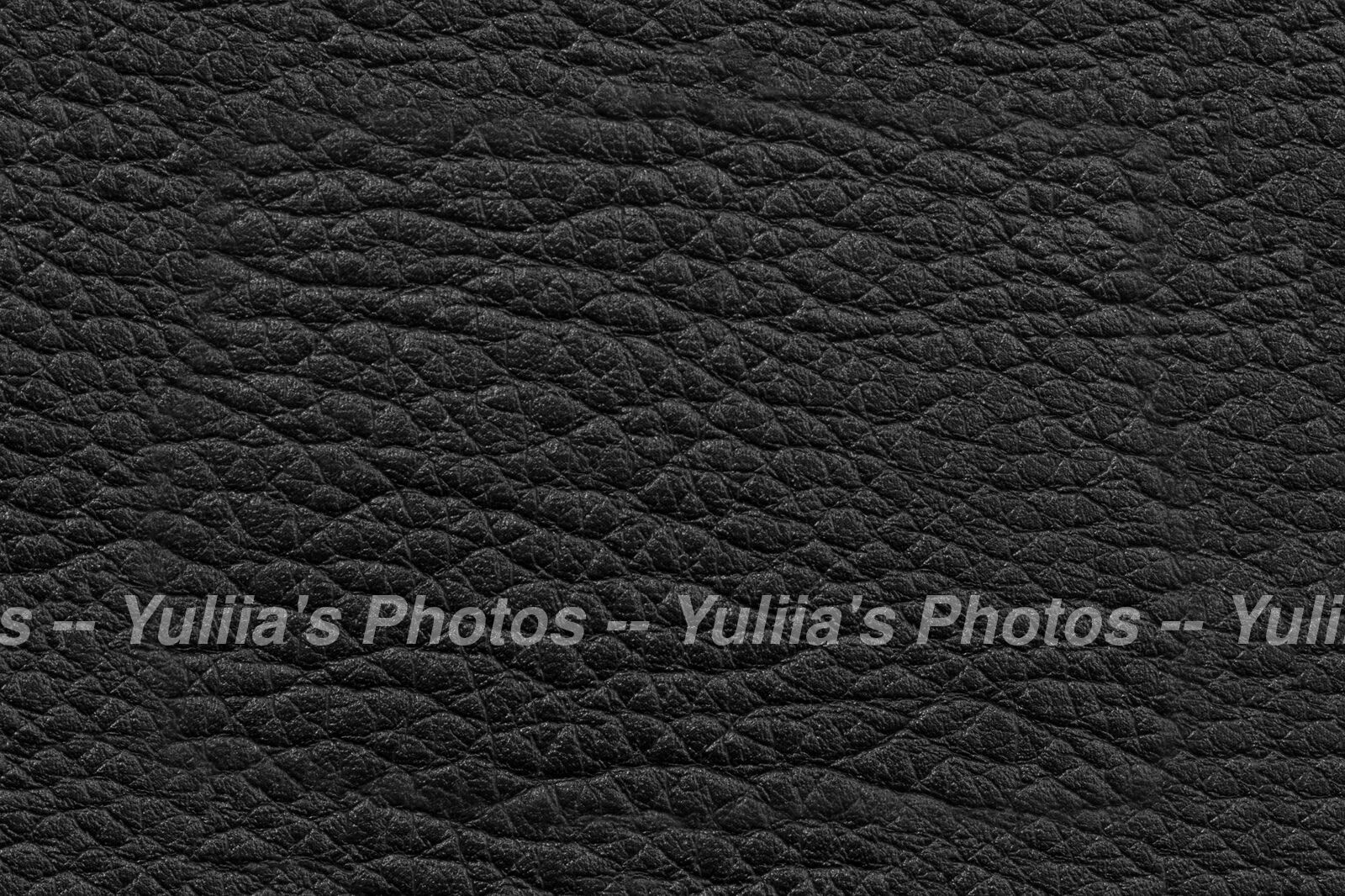 jpegwaterm/Abstraction_DSC_0581.jpg