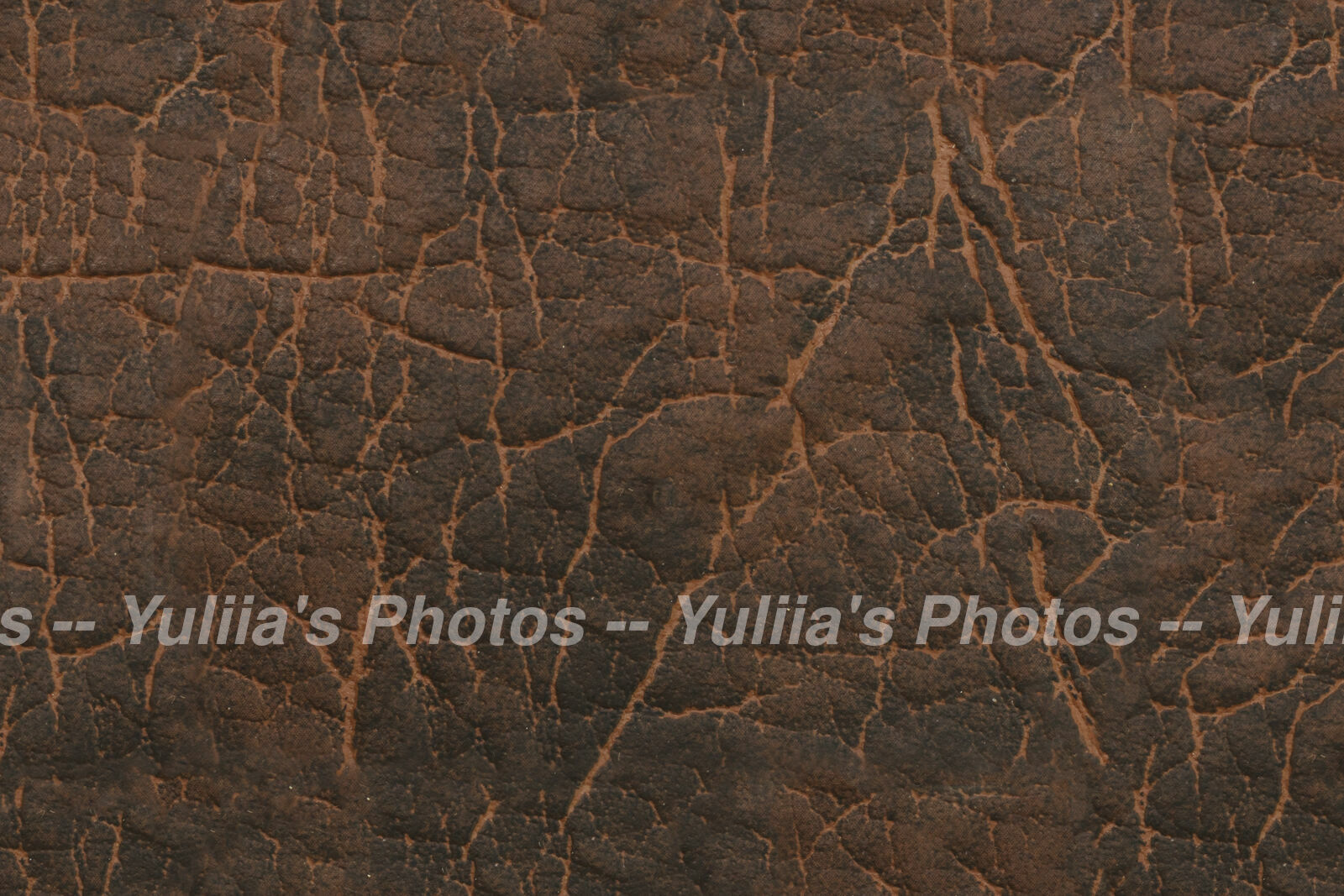 jpegwaterm/Abstraction_DSC_0591.jpg