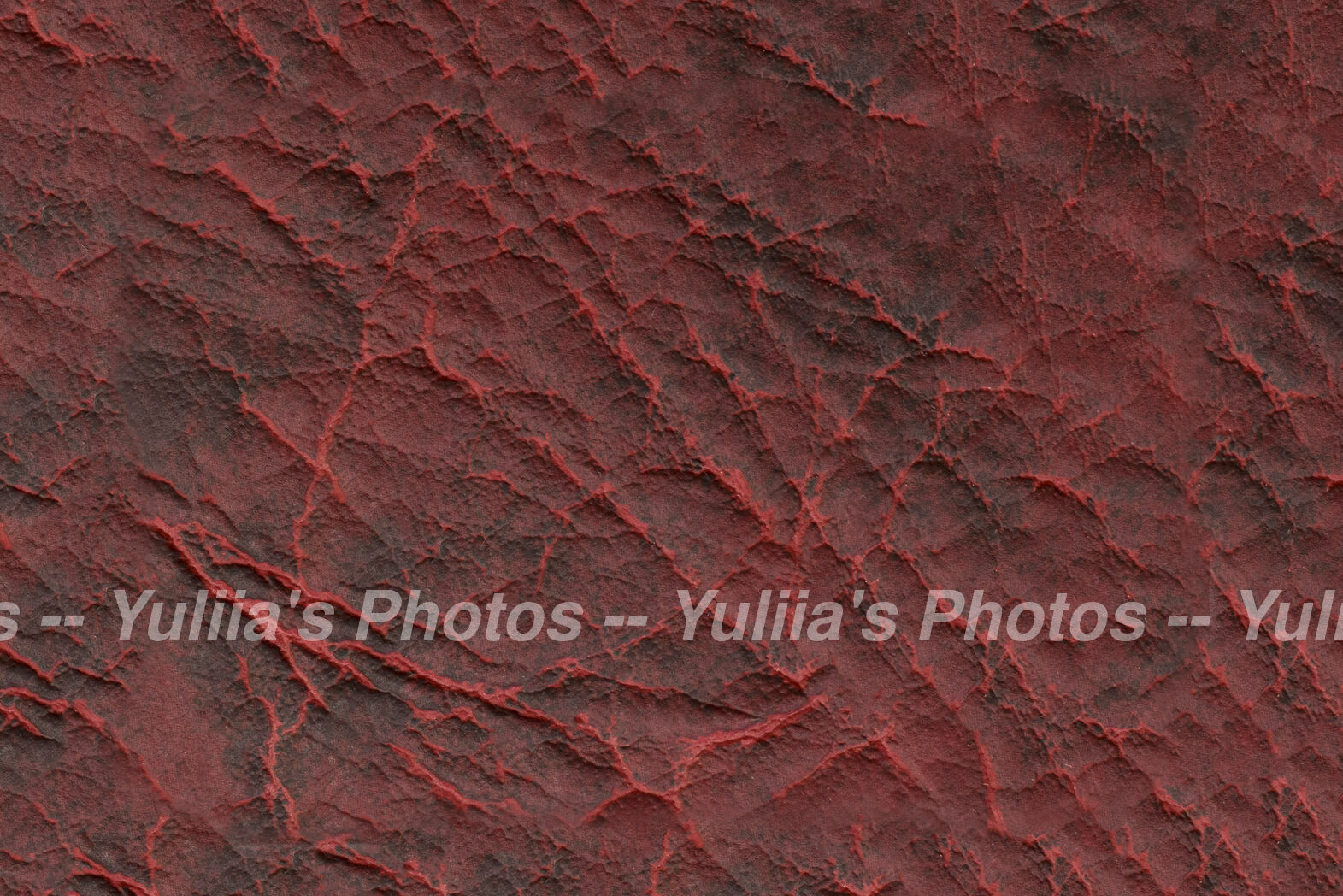 jpegwaterm/Abstraction_DSC_0593.jpg