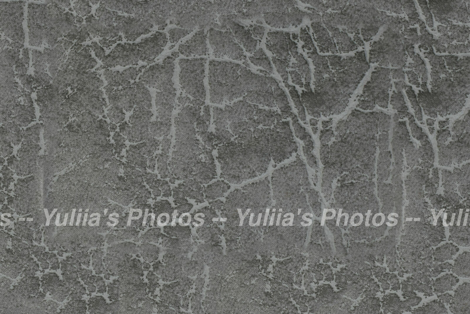 jpegwaterm/Abstraction_DSC_0595.jpg