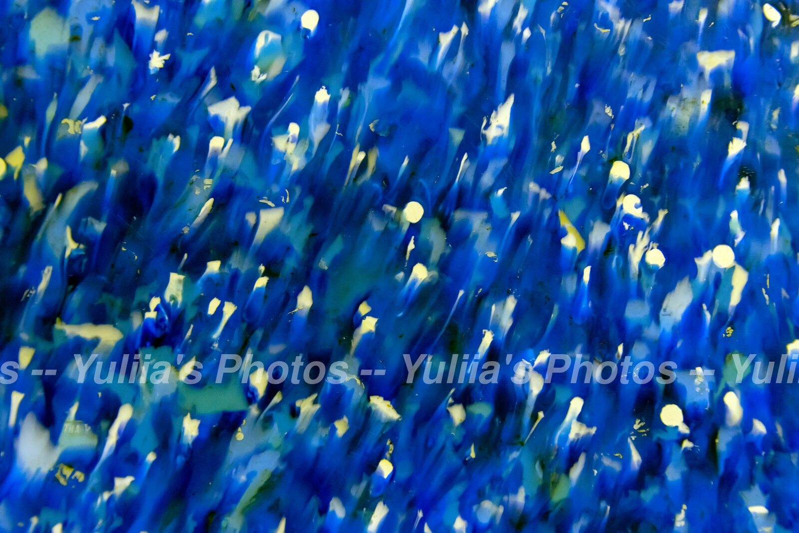jpegwaterm/Abstraction_DSC_05962.jpg