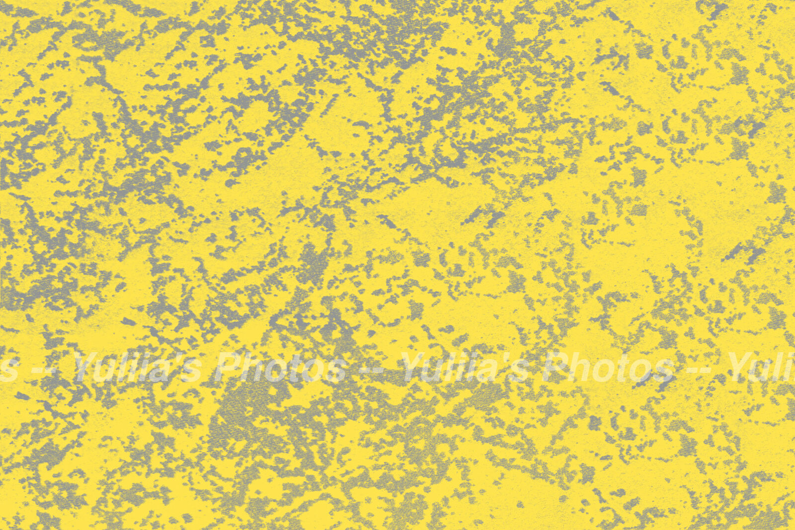 jpegwaterm/Abstraction_DSC_0612.jpg