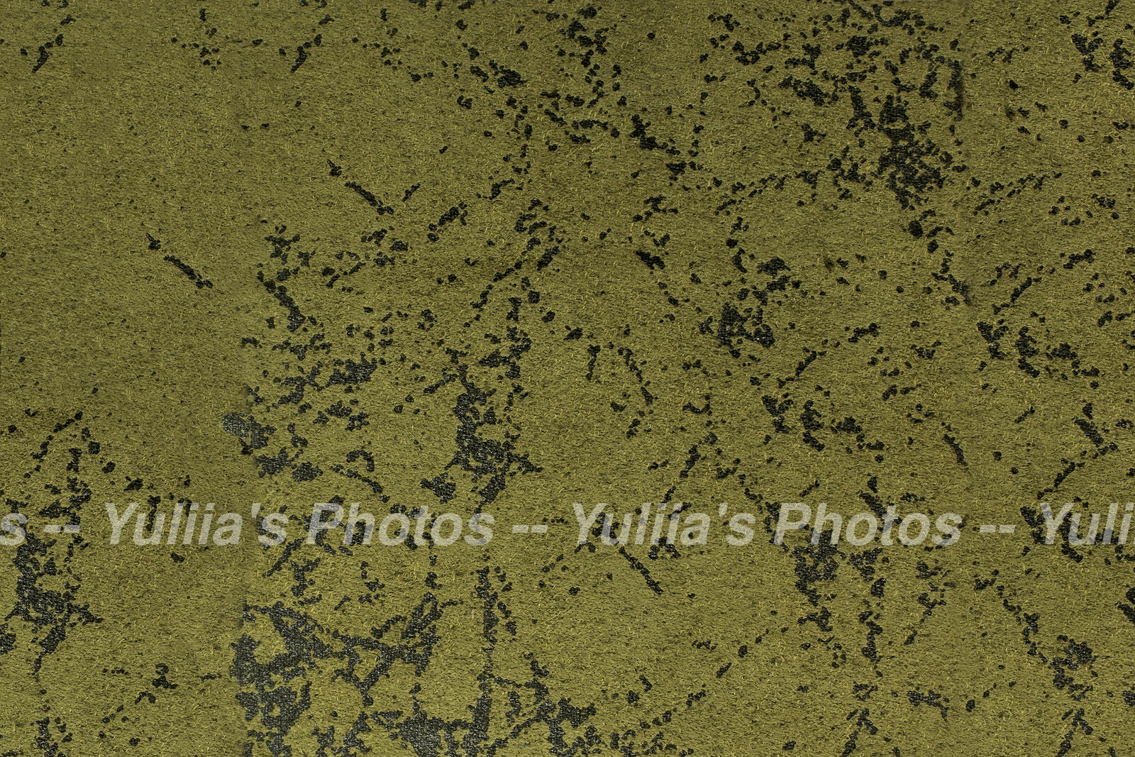 jpegwaterm/Abstraction_DSC_0613.jpg