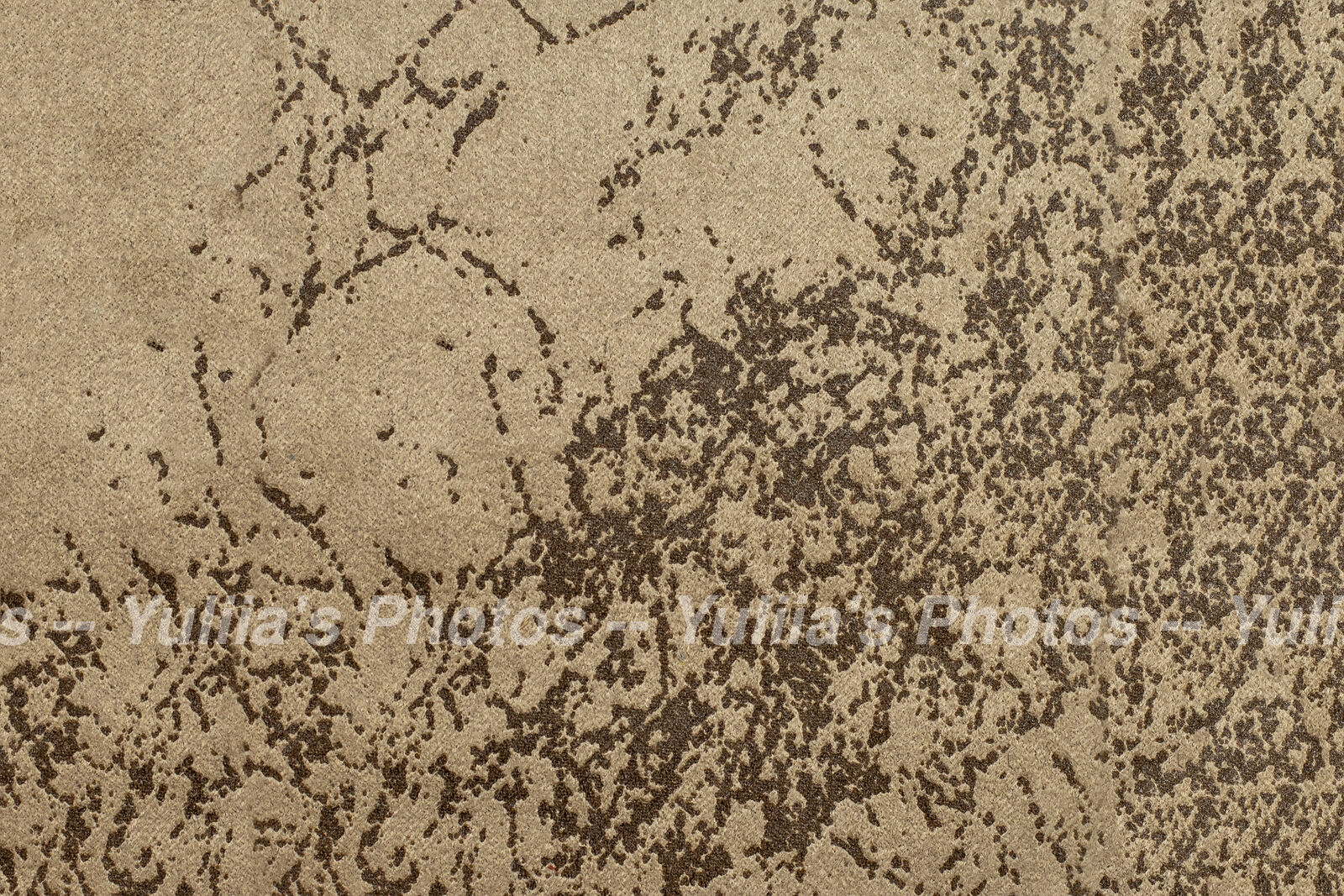 jpegwaterm/Abstraction_DSC_06142.jpg