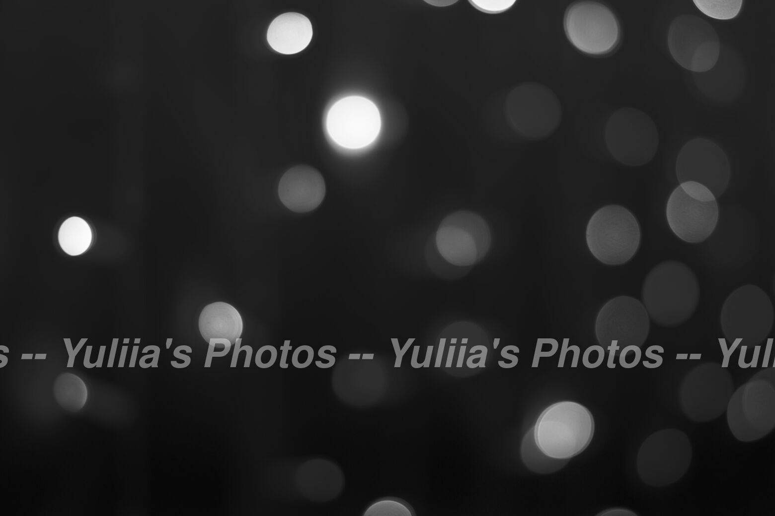 jpegwaterm/Abstraction_DSC_07084.jpg