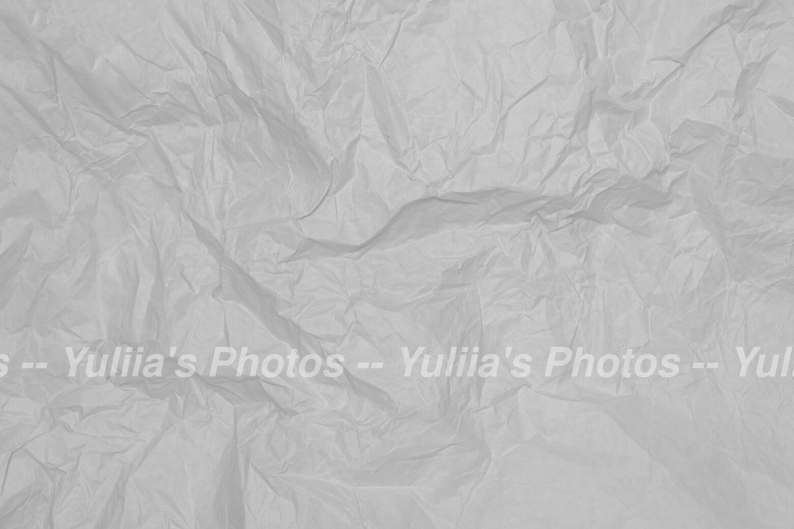 jpegwaterm/Abstraction_DSC_08243.jpg