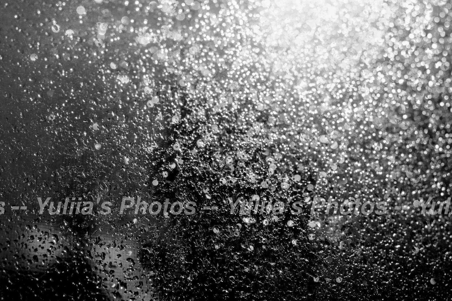 jpegwaterm/Abstraction_DSC_11643.jpg