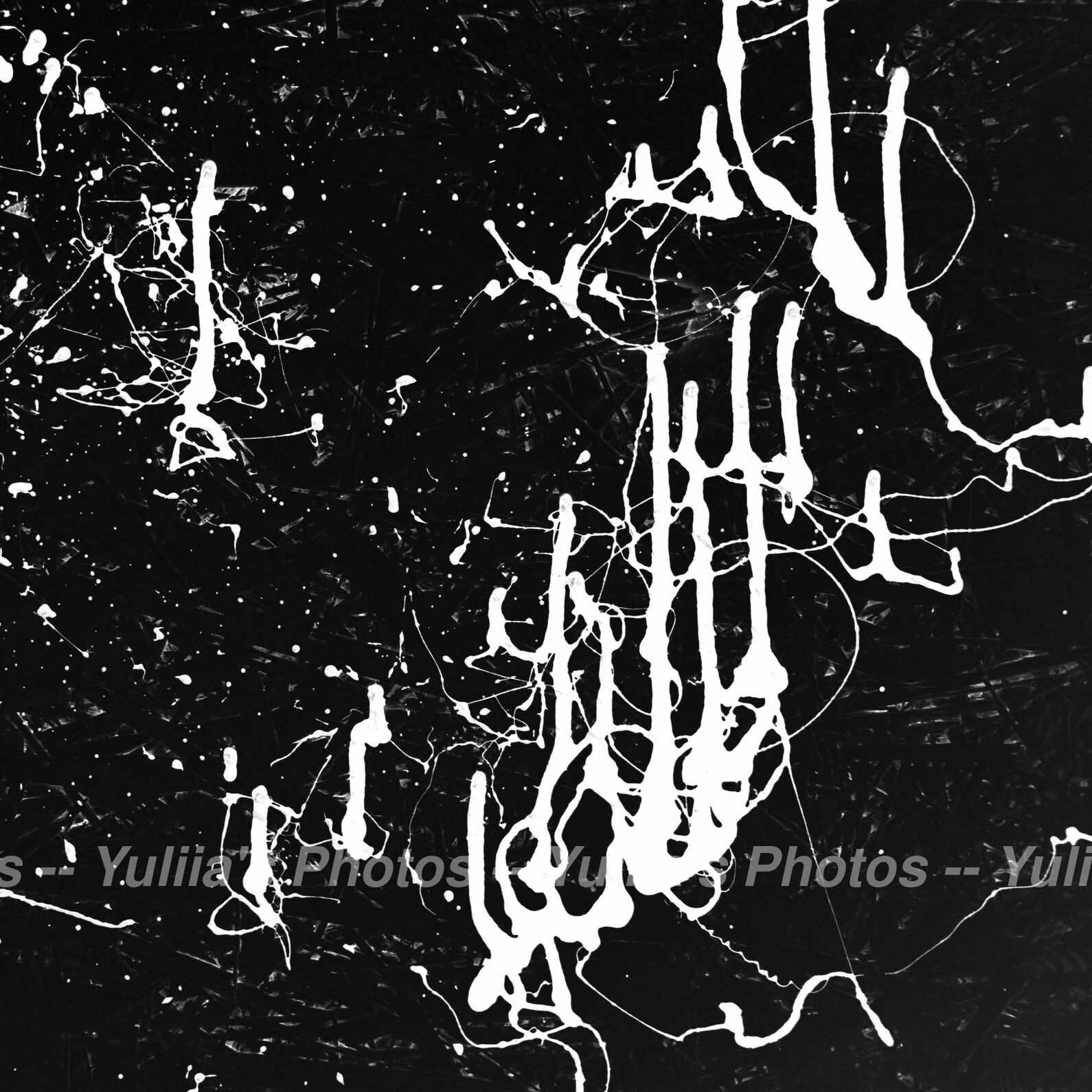 jpegwaterm/Abstraction_DSC_1290.jpg