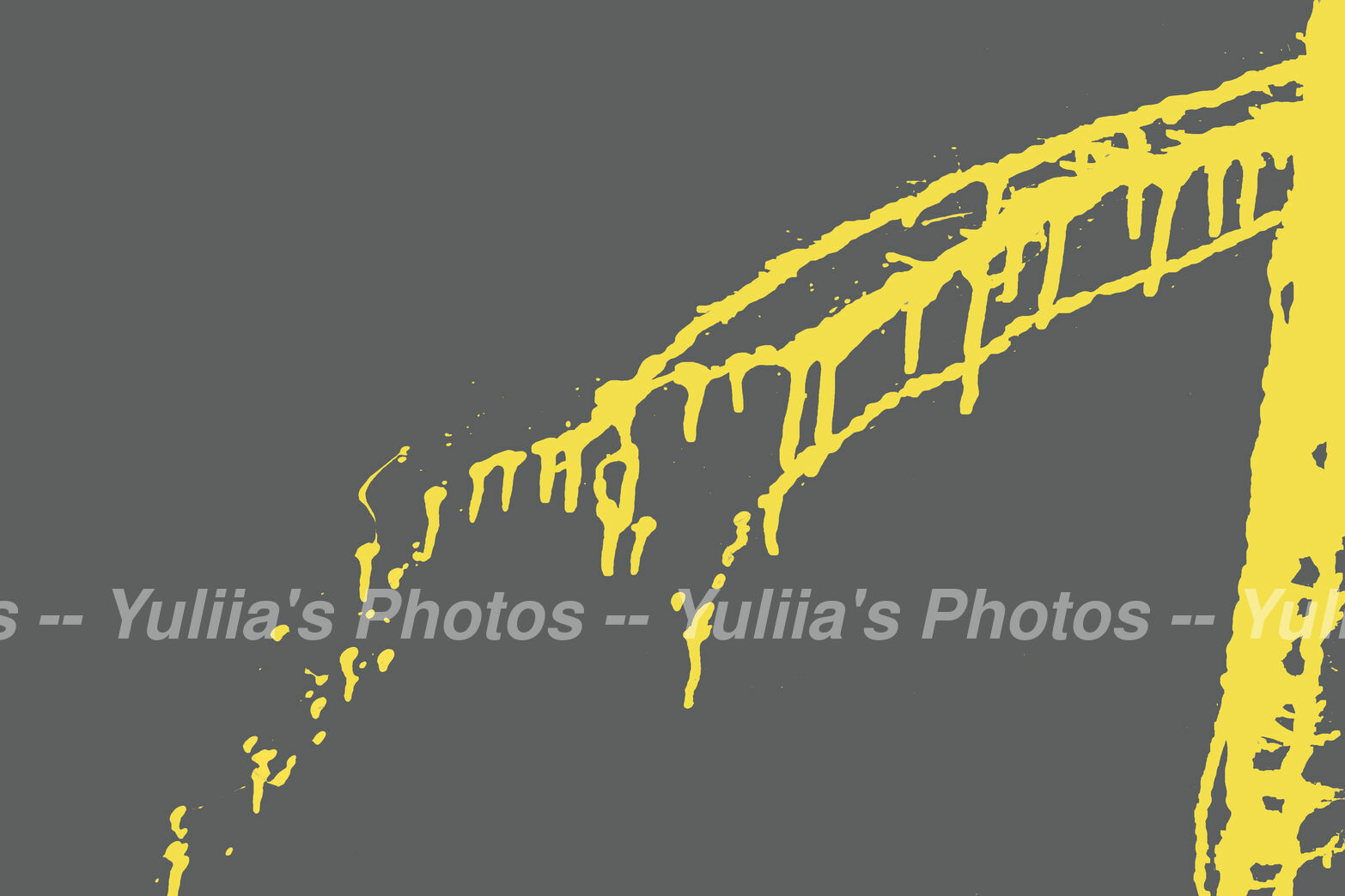 jpegwaterm/Abstraction_DSC_1293.jpg