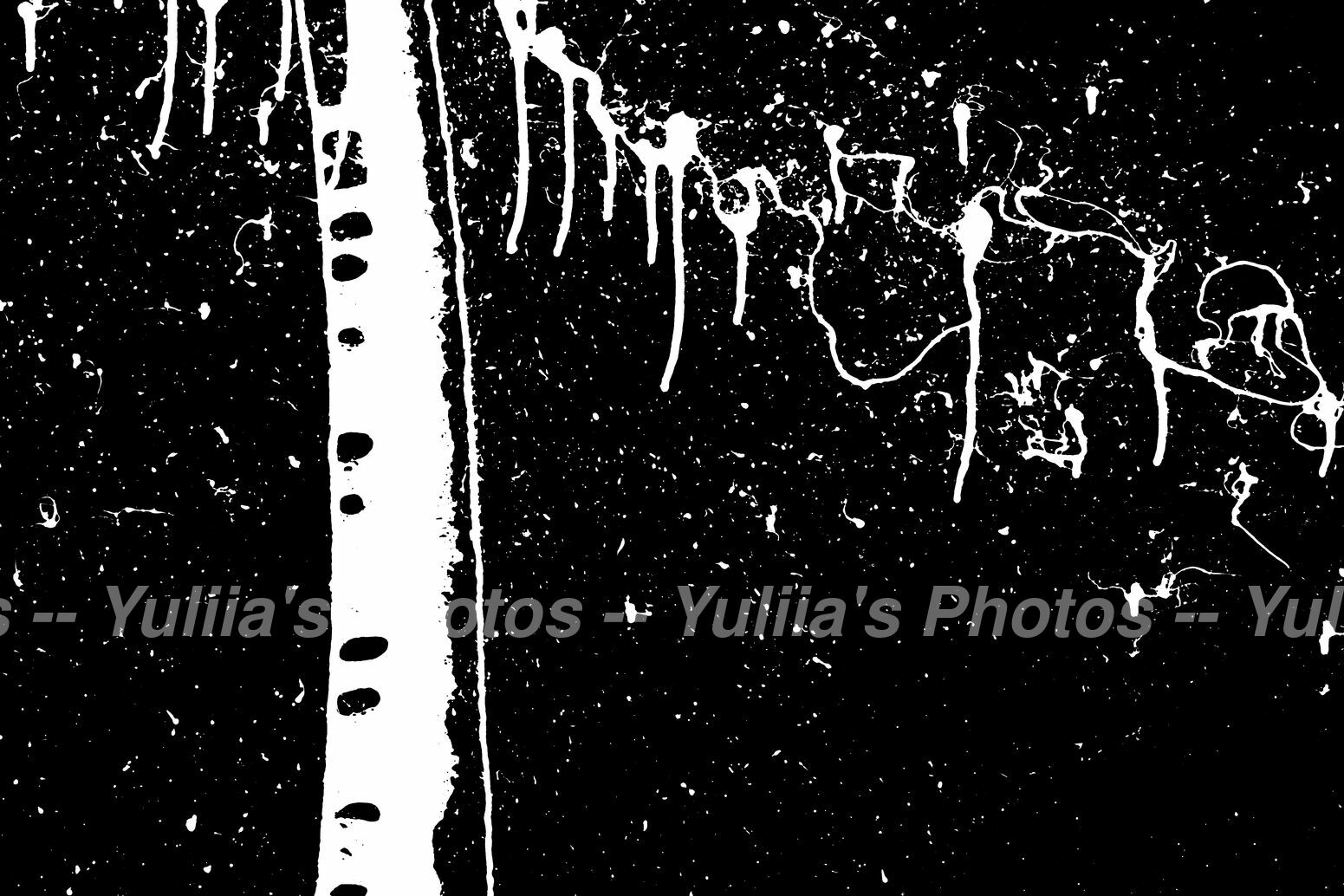 jpegwaterm/Abstraction_DSC_1298.jpg