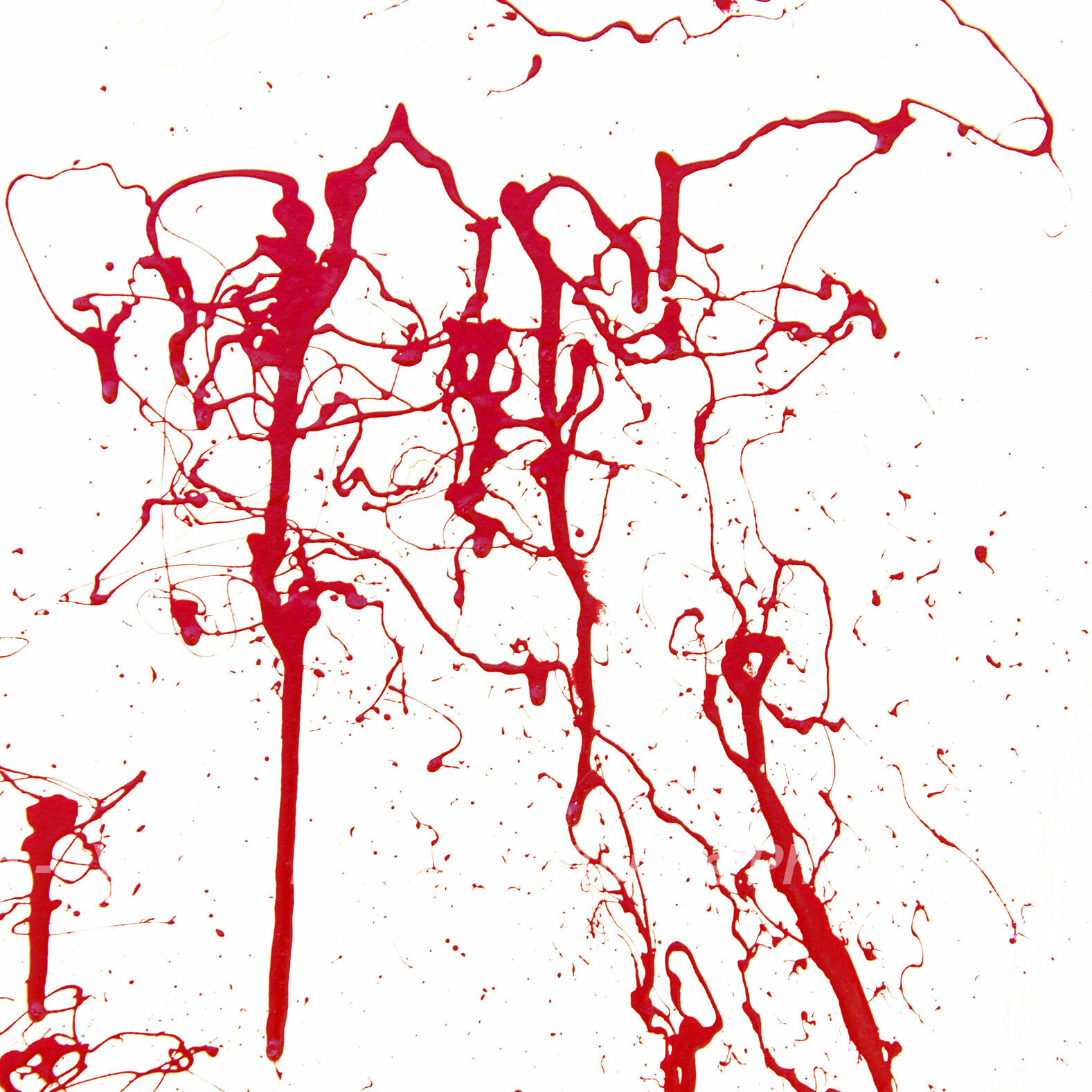 jpegwaterm/Abstraction_DSC_1302.jpg