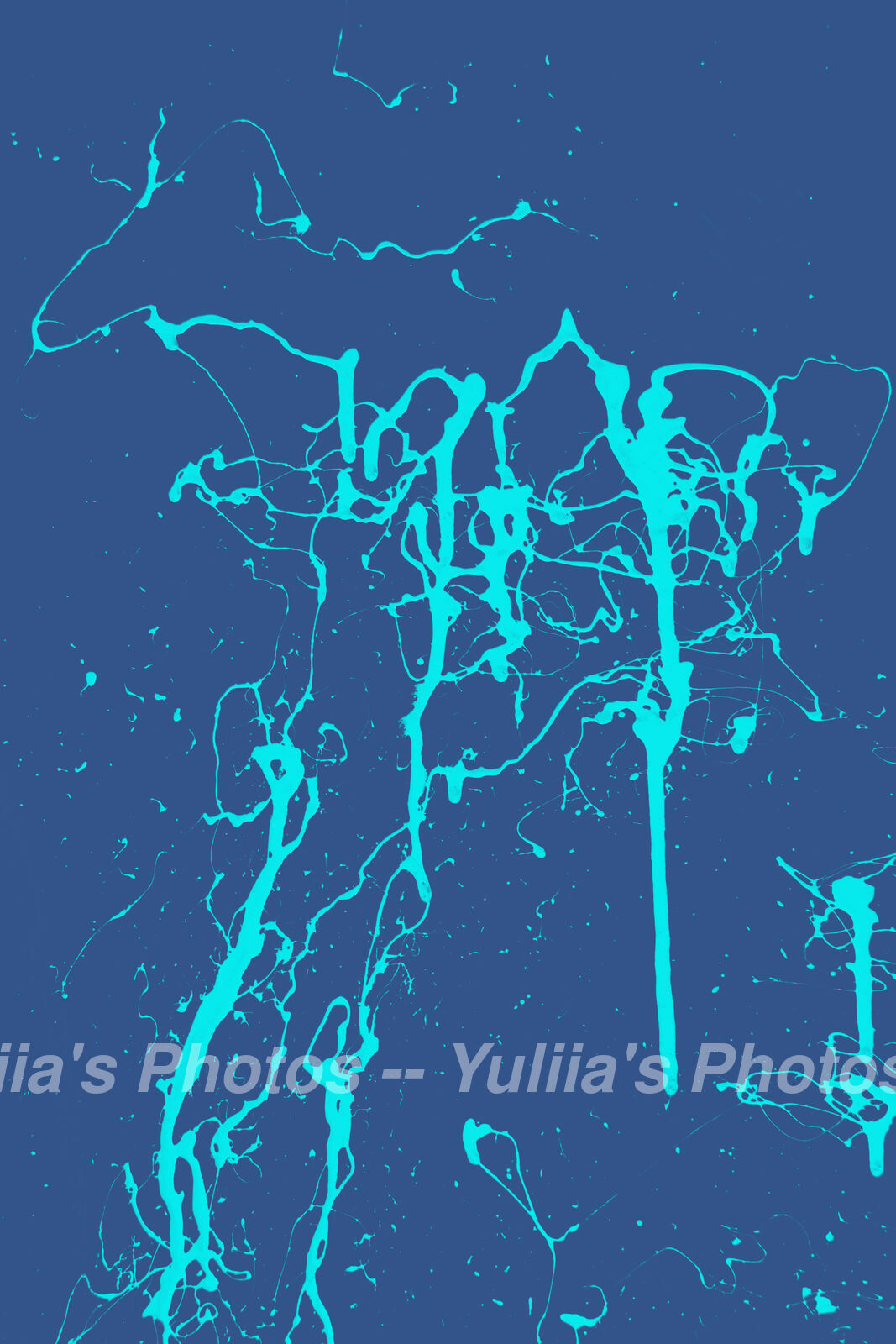 jpegwaterm/Abstraction_DSC_1303.jpg