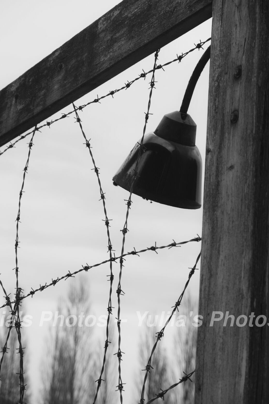 jpegwaterm/KZ_Dachau_DSCF6997.jpg